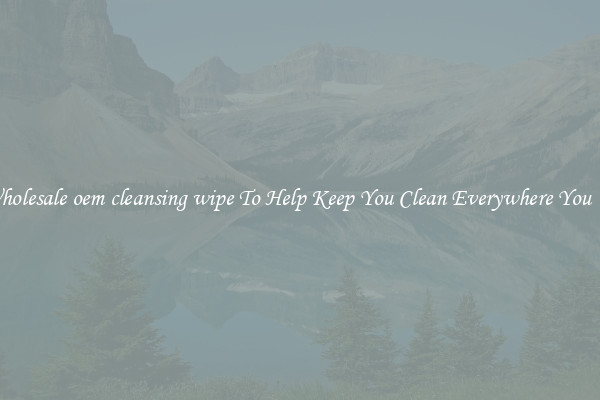 Wholesale oem cleansing wipe To Help Keep You Clean Everywhere You Go