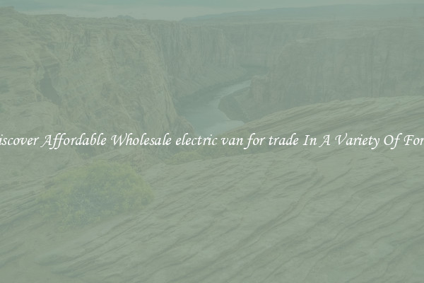 Discover Affordable Wholesale electric van for trade In A Variety Of Forms