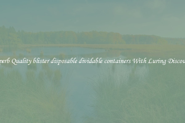 Superb Quality blister disposable dividable containers With Luring Discounts