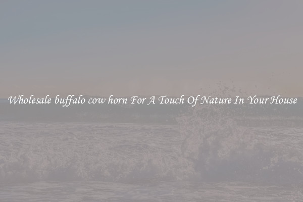 Wholesale buffalo cow horn For A Touch Of Nature In Your House