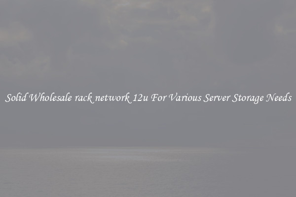 Solid Wholesale rack network 12u For Various Server Storage Needs