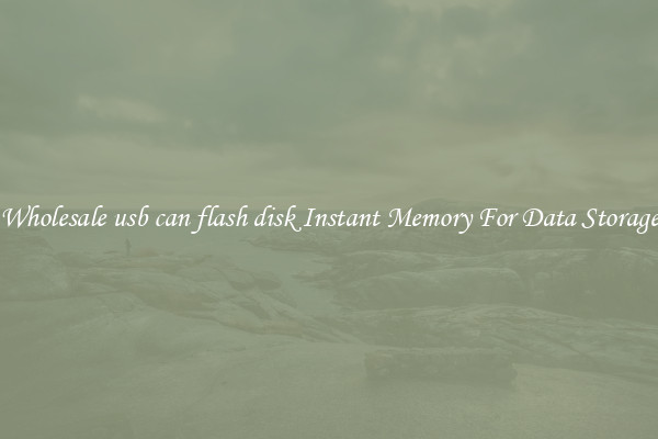 Wholesale usb can flash disk Instant Memory For Data Storage
