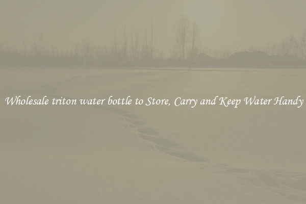 Wholesale triton water bottle to Store, Carry and Keep Water Handy