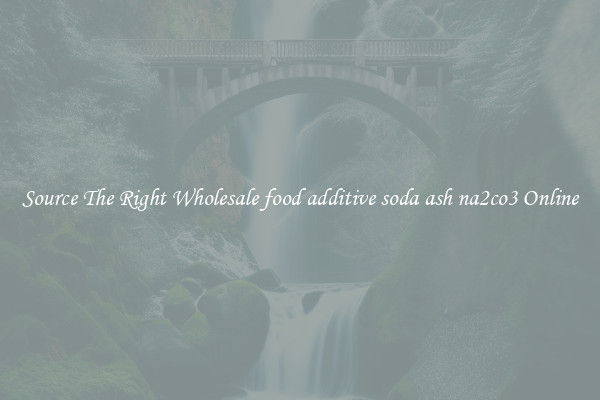 Source The Right Wholesale food additive soda ash na2co3 Online