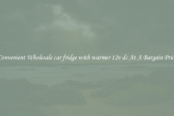 Convenient Wholesale car fridge with warmer 12v dc At A Bargain Price