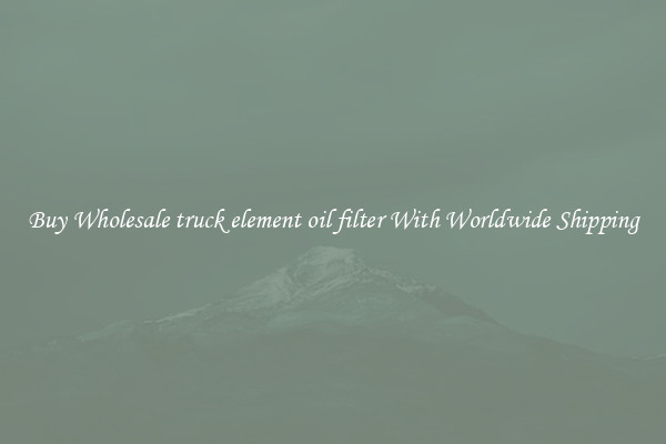  Buy Wholesale truck element oil filter With Worldwide Shipping 