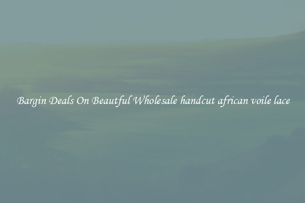 Bargin Deals On Beautful Wholesale handcut african voile lace
