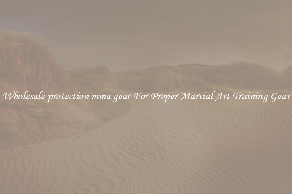 Wholesale protection mma gear For Proper Martial Art Training Gear