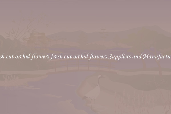 fresh cut orchid flowers fresh cut orchid flowers Suppliers and Manufacturers