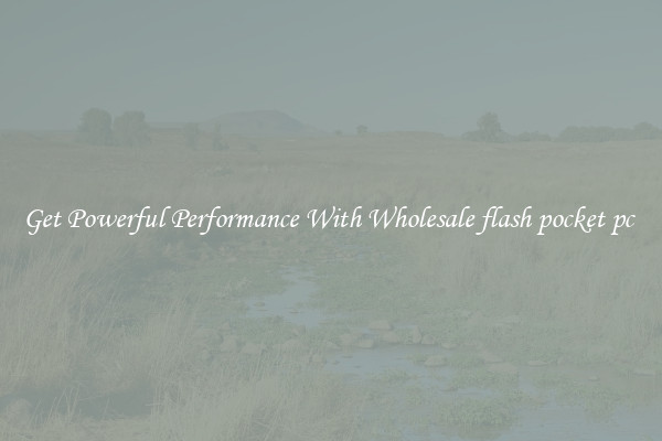 Get Powerful Performance With Wholesale flash pocket pc 