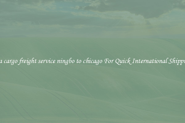 sea cargo freight service ningbo to chicago For Quick International Shipping