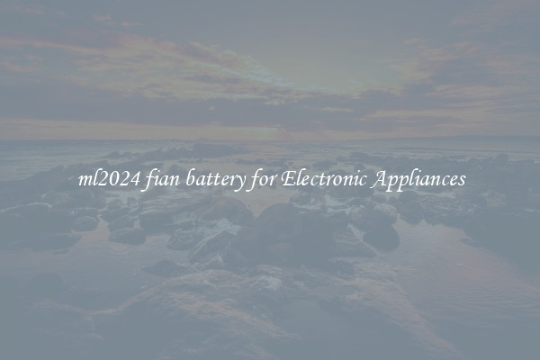 ml2024 fian battery for Electronic Appliances