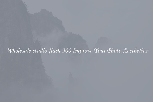 Wholesale studio flash 300 Improve Your Photo Aesthetics
