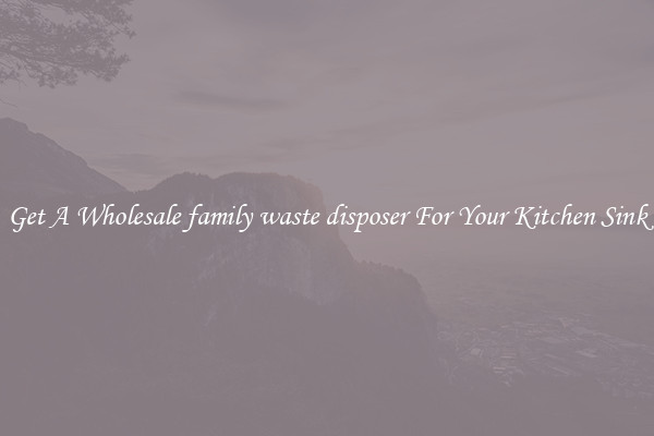 Get A Wholesale family waste disposer For Your Kitchen Sink