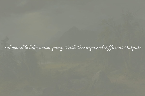 submersible lake water pump With Unsurpassed Efficient Outputs
