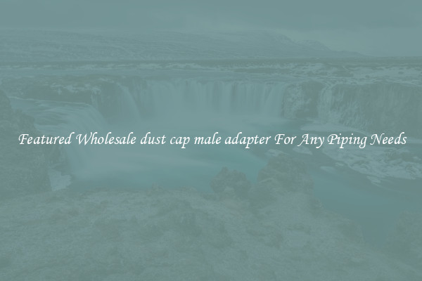 Featured Wholesale dust cap male adapter For Any Piping Needs