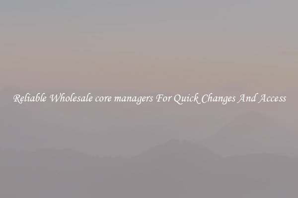 Reliable Wholesale core managers For Quick Changes And Access